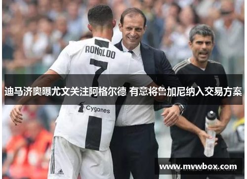 迪马济奥曝尤文关注阿格尔德 有意将鲁加尼纳入交易方案 迪马济奥曝尤文关注阿格尔德 有意将鲁加尼纳入交易方案