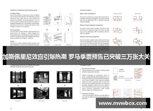 加斯佩里尼效应引爆热潮 罗马季票预售已突破三万张大关 加斯佩里尼效应引爆热潮 罗马季票预售已突破三万张大关